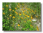 428812_10151104290736303_704817723_n