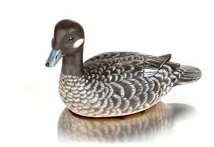 Hen Bufflehead Decorative Decoy