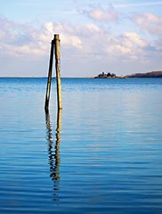 Serge Pierro photograph